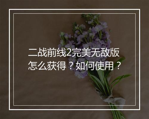 二战前线2完美无敌版怎么获得？如何使用？