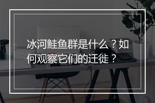 冰河鲑鱼群是什么?如何观察它们的迁徙?