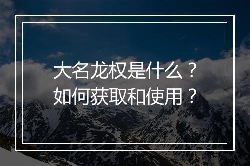 大名龙权是什么?如何获取和使用?