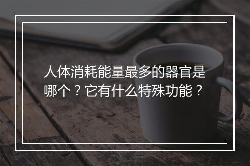 人体消耗能量最多的器官是哪个？它有什么特殊功能？