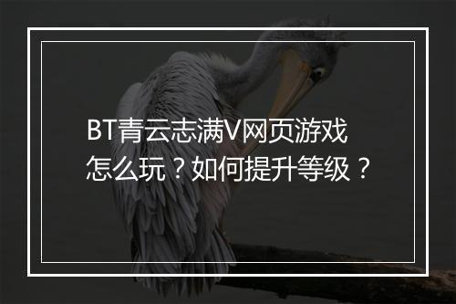 BT青云志满V网页游戏怎么玩？如何提升等级？