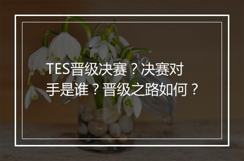 TES晋级决赛？决赛对手是谁？晋级之路如何？