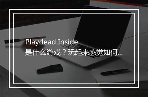 Playdead Inside是什么游戏？玩起来感觉如何？