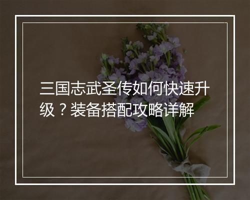 三国志武圣传如何快速升级?装备搭配攻略详解