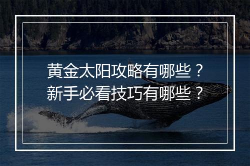 黄金太阳攻略有哪些？新手必看技巧有哪些？