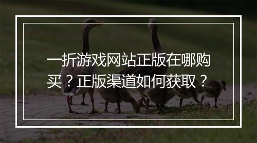 一折游戏网站正版在哪购买?正版渠道如何获取?