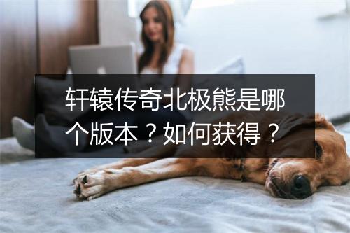 轩辕传奇北极熊是哪个版本?如何获得?