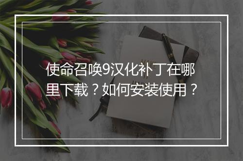 使命召唤9汉化补丁在哪里下载?如何安装使用?