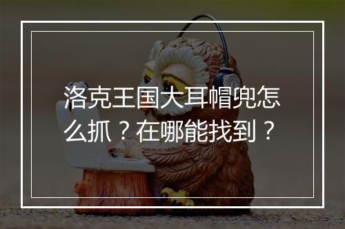 洛克王国大耳帽兜怎么抓?在哪能找到?