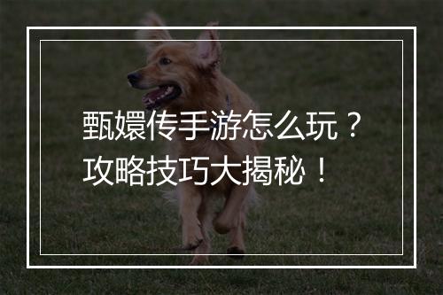 甄嬛传手游怎么玩?攻略技巧大揭秘!