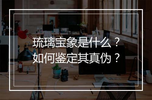 琉璃宝象是什么?如何鉴定其真伪?