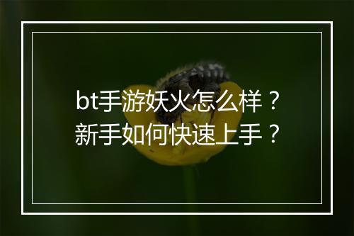 bt手游妖火怎么样?新手如何快速上手?