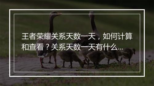 王者荣耀关系天数一天，如何计算和查看？关系天数一天有什么用？