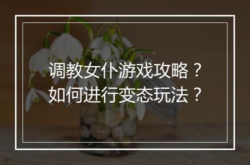 调教女仆游戏攻略?如何进行变态玩法?