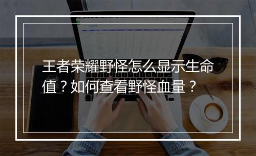 王者荣耀野怪怎么显示生命值？如何查看野怪血量？