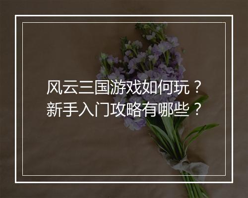 风云三国游戏如何玩?新手入门攻略有哪些?