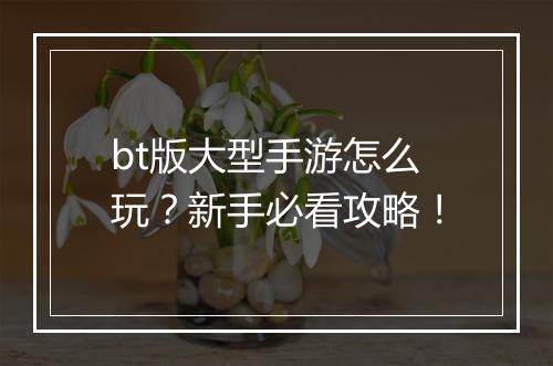 bt版大型手游怎么玩?新手必看攻略!