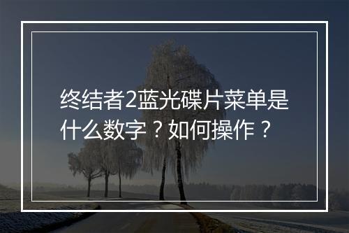 终结者2蓝光碟片菜单是什么数字？如何操作？