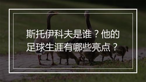 斯托伊科夫是谁?他的足球生涯有哪些亮点?