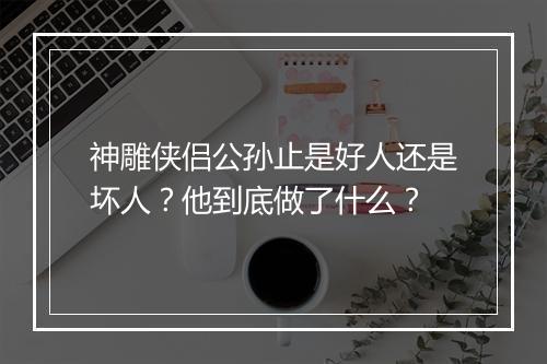神雕侠侣公孙止是好人还是坏人？他到底做了什么？