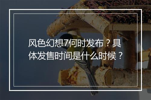 风色幻想7何时发布？具体发售时间是什么时候？