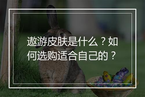遨游皮肤是什么?如何选购适合自己的?