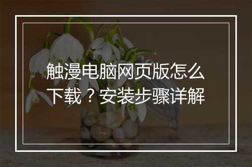 触漫电脑网页版怎么下载?安装步骤详解