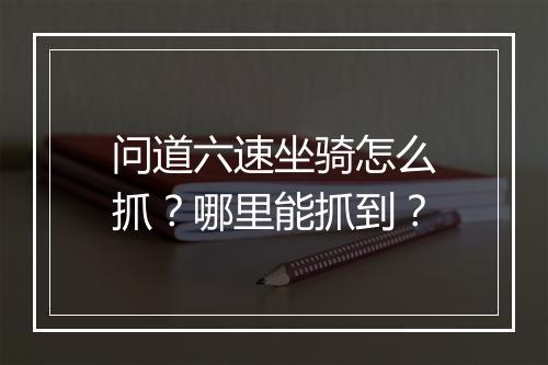 问道六速坐骑怎么抓？哪里能抓到？