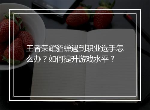 王者荣耀貂蝉遇到职业选手怎么办？如何提升游戏水平？