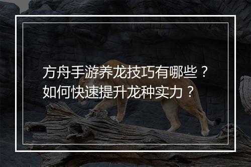 方舟手游养龙技巧有哪些？如何快速提升龙种实力？