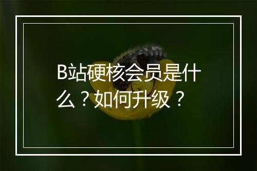 B站硬核会员是什么？如何升级？