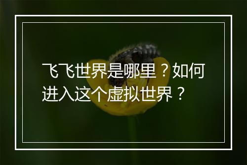 飞飞世界是哪里?如何进入这个虚拟世界?