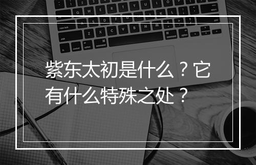 紫东太初是什么?它有什么特殊之处?