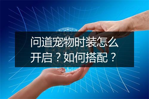 问道宠物时装怎么开启?如何搭配?