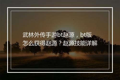 武林外传手游bt赵源，bt版怎么获得赵源？赵源技能详解
