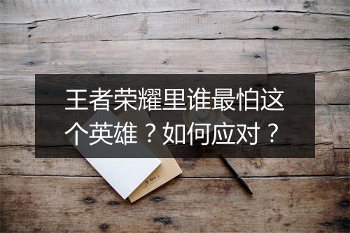 王者荣耀里谁最怕这个英雄？如何应对？