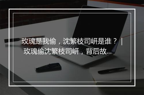 玫瑰是我偷,沈繁枝司岍是谁?| 玫瑰偷沈繁枝司岍,背后故事揭秘