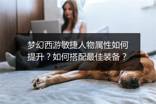 梦幻西游敏捷人物属性如何提升？如何搭配最佳装备？