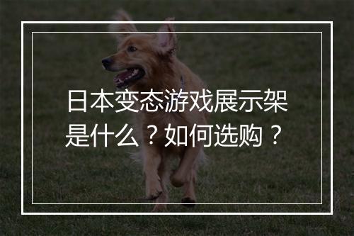 日本变态游戏展示架是什么?如何选购?