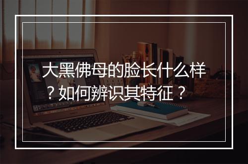 大黑佛母的脸长什么样?如何辨识其特征?