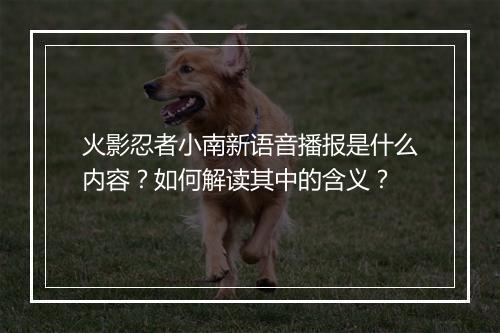 火影忍者小南新语音播报是什么内容？如何解读其中的含义？