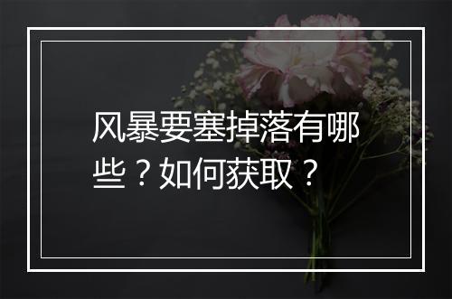 风暴要塞掉落有哪些?如何获取?