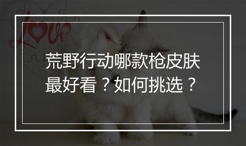 荒野行动哪款枪皮肤最好看？如何挑选？