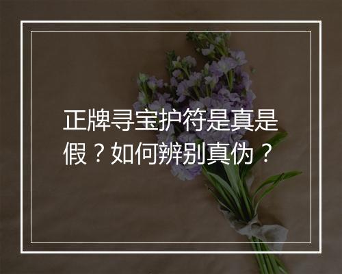 正牌寻宝护符是真是假?如何辨别真伪?
