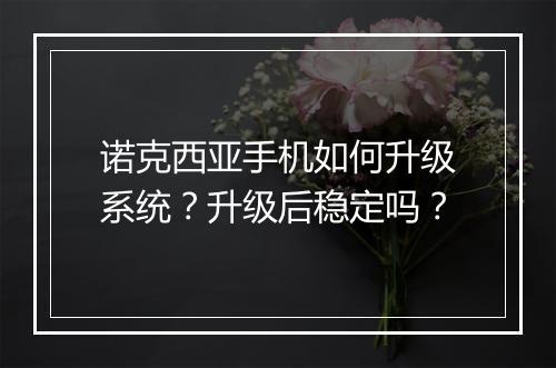 诺克西亚手机如何升级系统?升级后稳定吗?
