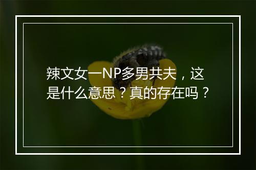 辣文女一NP多男共夫,这是什么意思?真的存在吗?