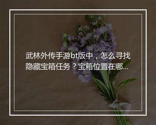 武林外传手游bt版中，怎么寻找隐藏宝箱任务？宝箱位置在哪里？