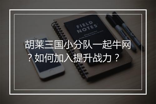胡莱三国小分队一起牛网？如何加入提升战力？