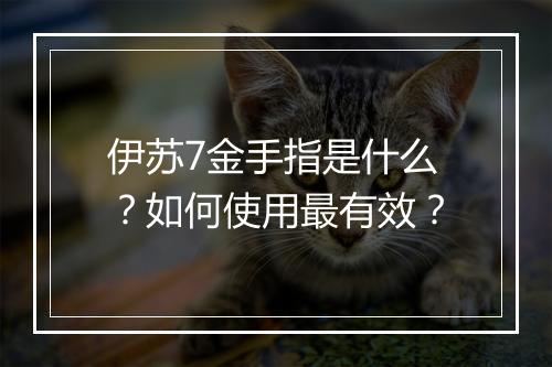 伊苏7金手指是什么?如何使用最有效?