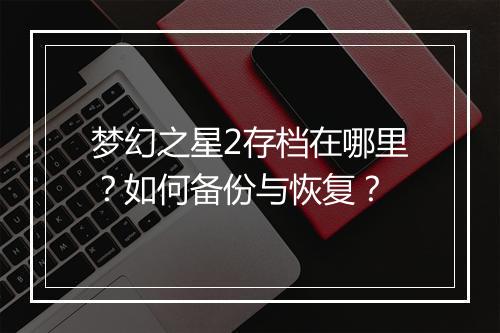 梦幻之星2存档在哪里?如何备份与恢复?